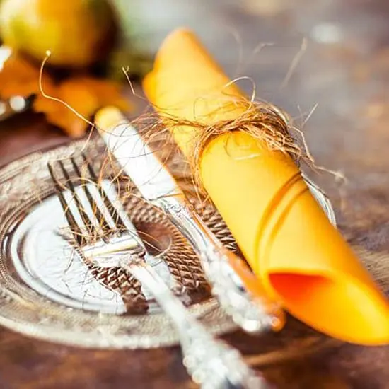 Softlin Classic 48 cm lautasliina - Image 11