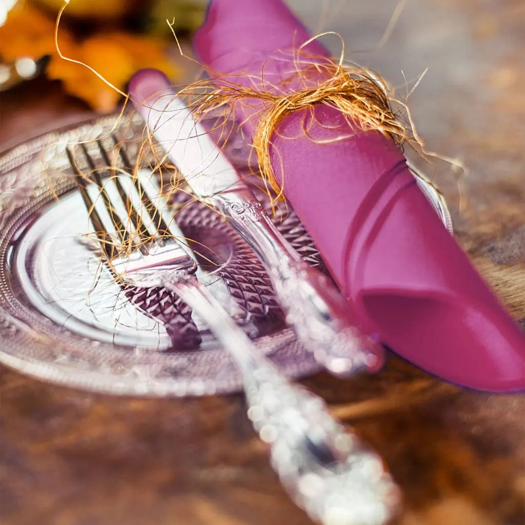 Softlin Classic 48 cm lautasliina - Image 10