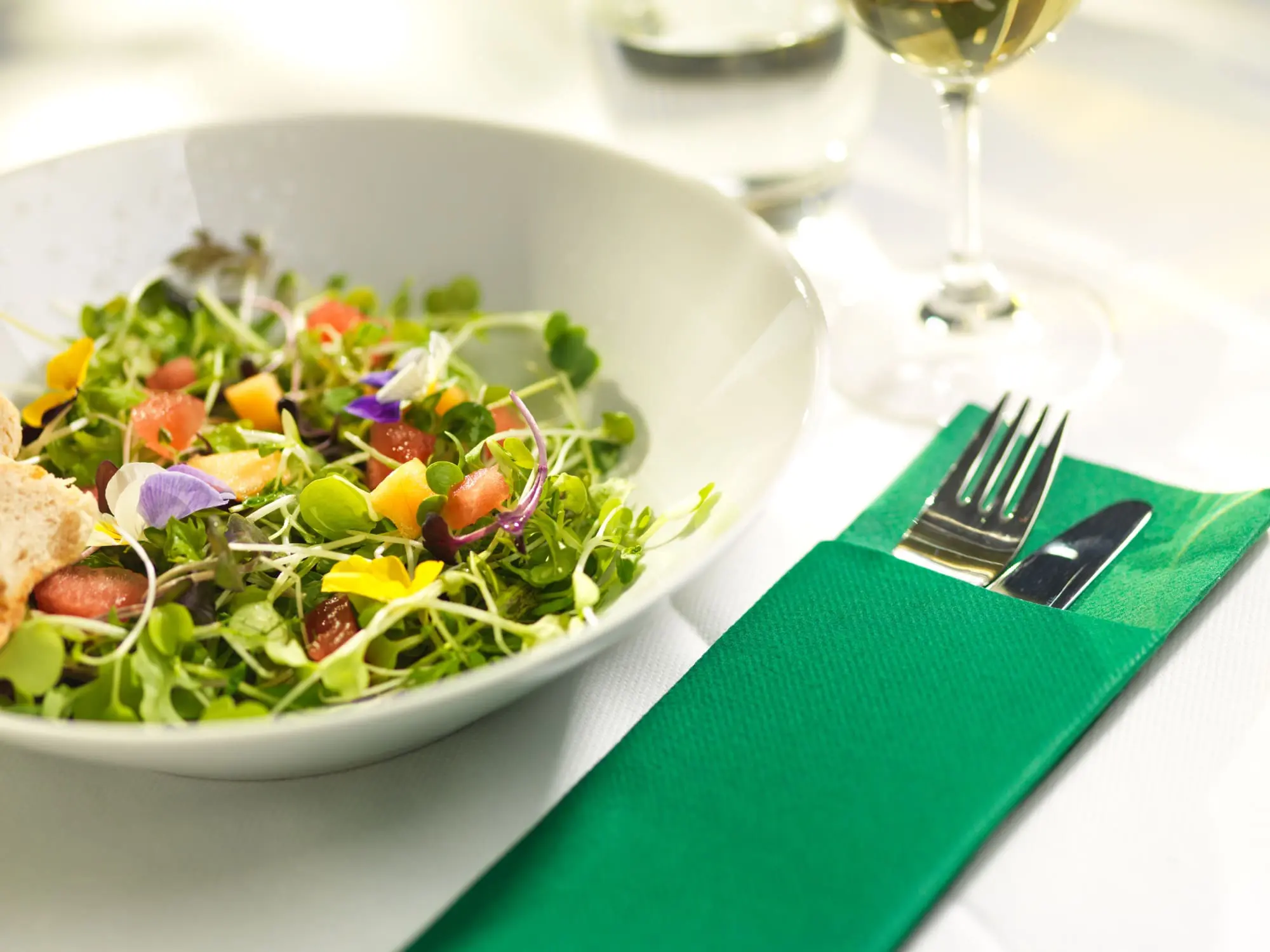 Softlin Classic 33x39 cm aterinliina - Image 6