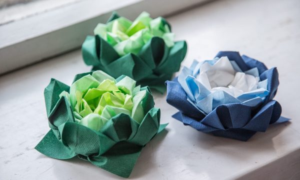 lautasliina-kustannus-vai-osa-elamysta